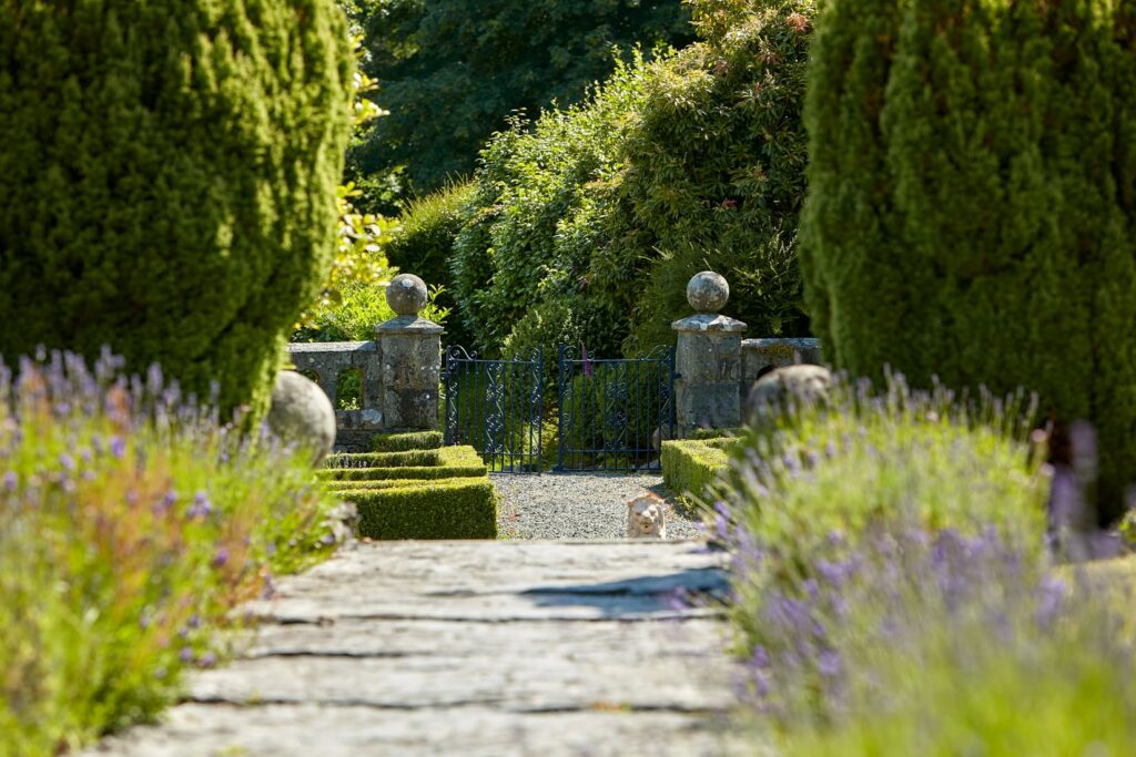 Penmaenuchaf Gardens