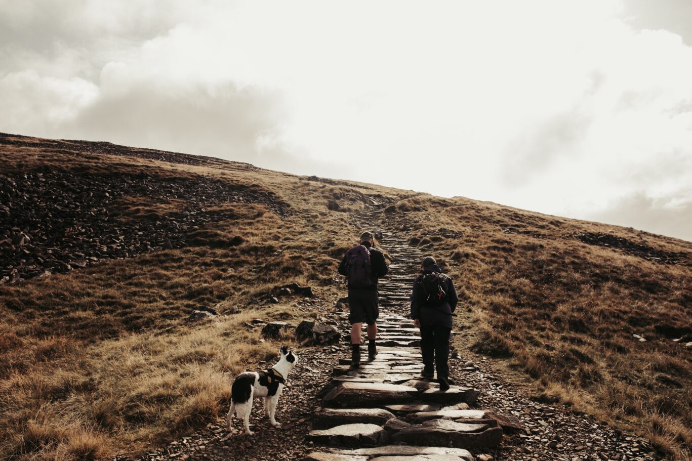 Cadair Idris (27)