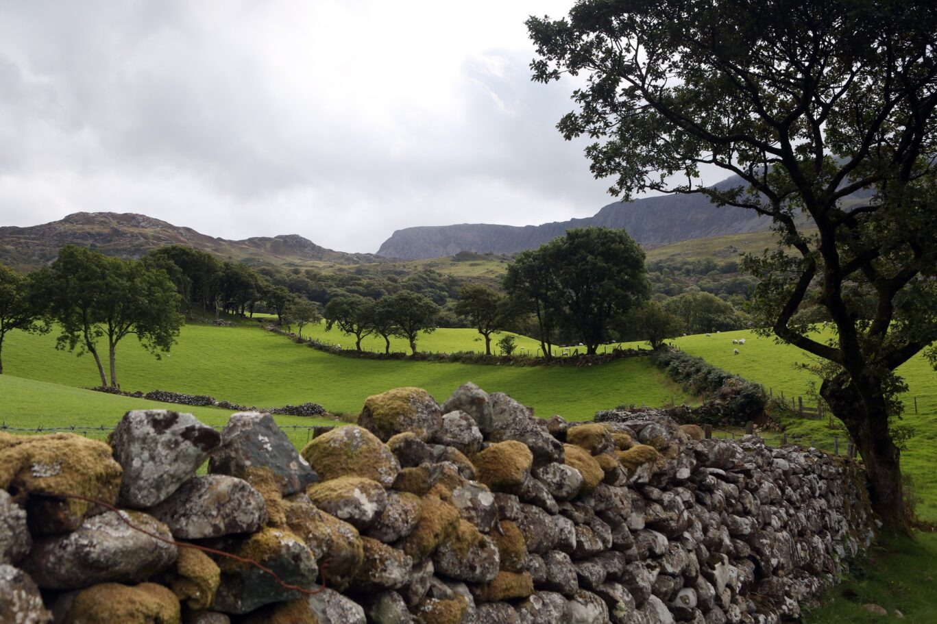 Country Side With Stone Wall