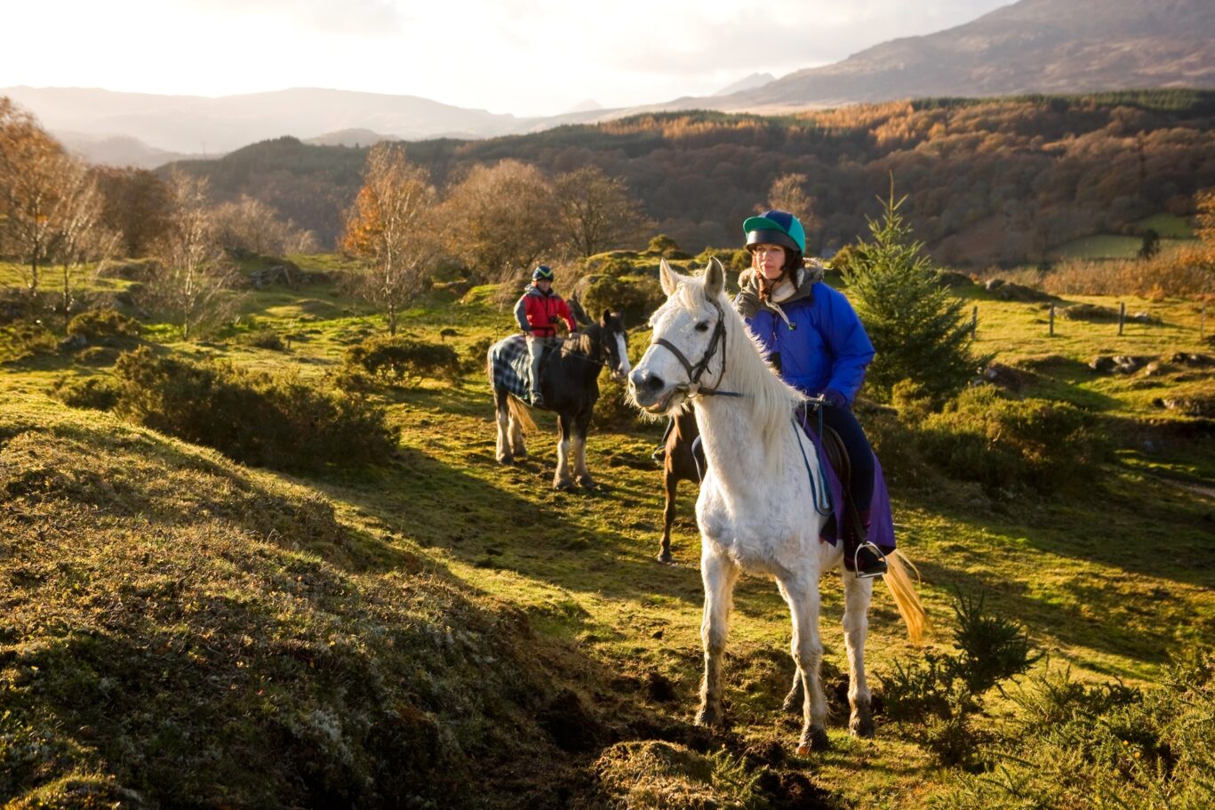 Horse Riding Gwynedd