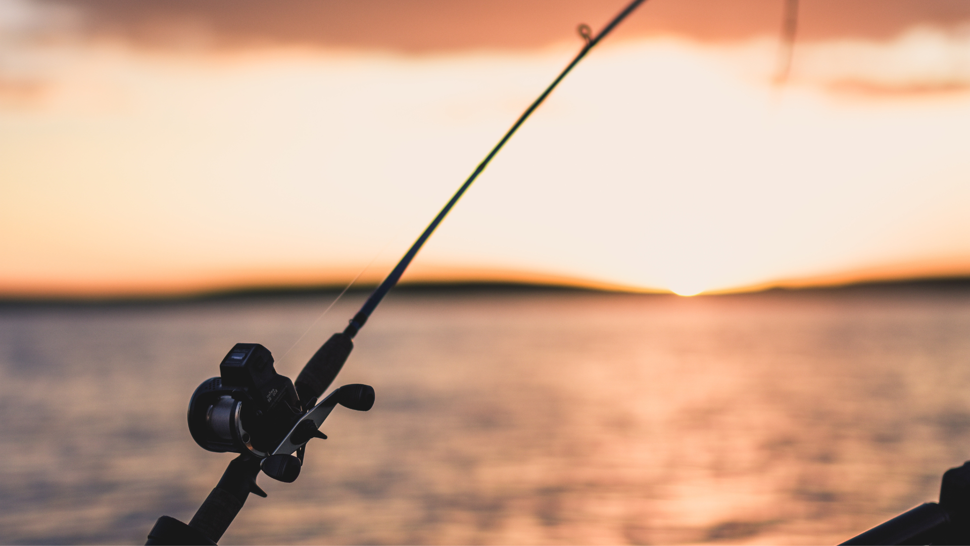 Fishing