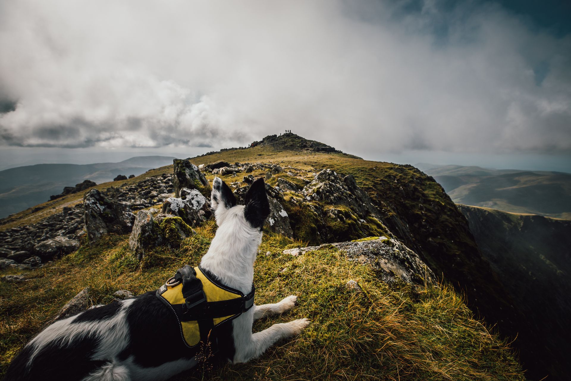33357-cadair-idris-snowdonia-web-optimised-1920px