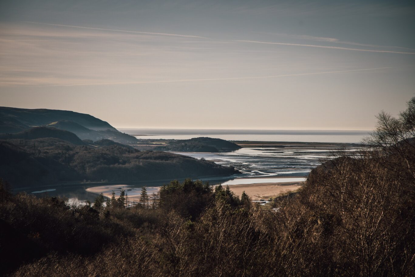 Mawddach (13)